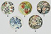Decal Prints on Shells