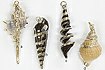 Electroplated Shells