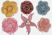 Sinamay Flowers