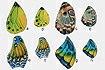 Butterfly Wings