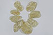 Newsletter,m011nsf08