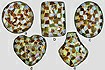 Shell Mosaic Inlay
