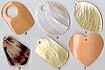 Polished Shell Pendants