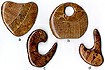 Laminated Wood Barks