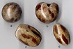 Marble Painted Beads