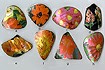 Flower Prints on Shells