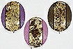 New: Cracked Quail Eggshell